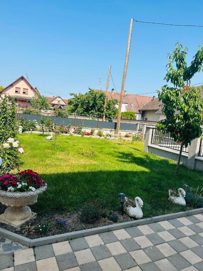 Appartement Centre Alsace - Proche D'europa Park *