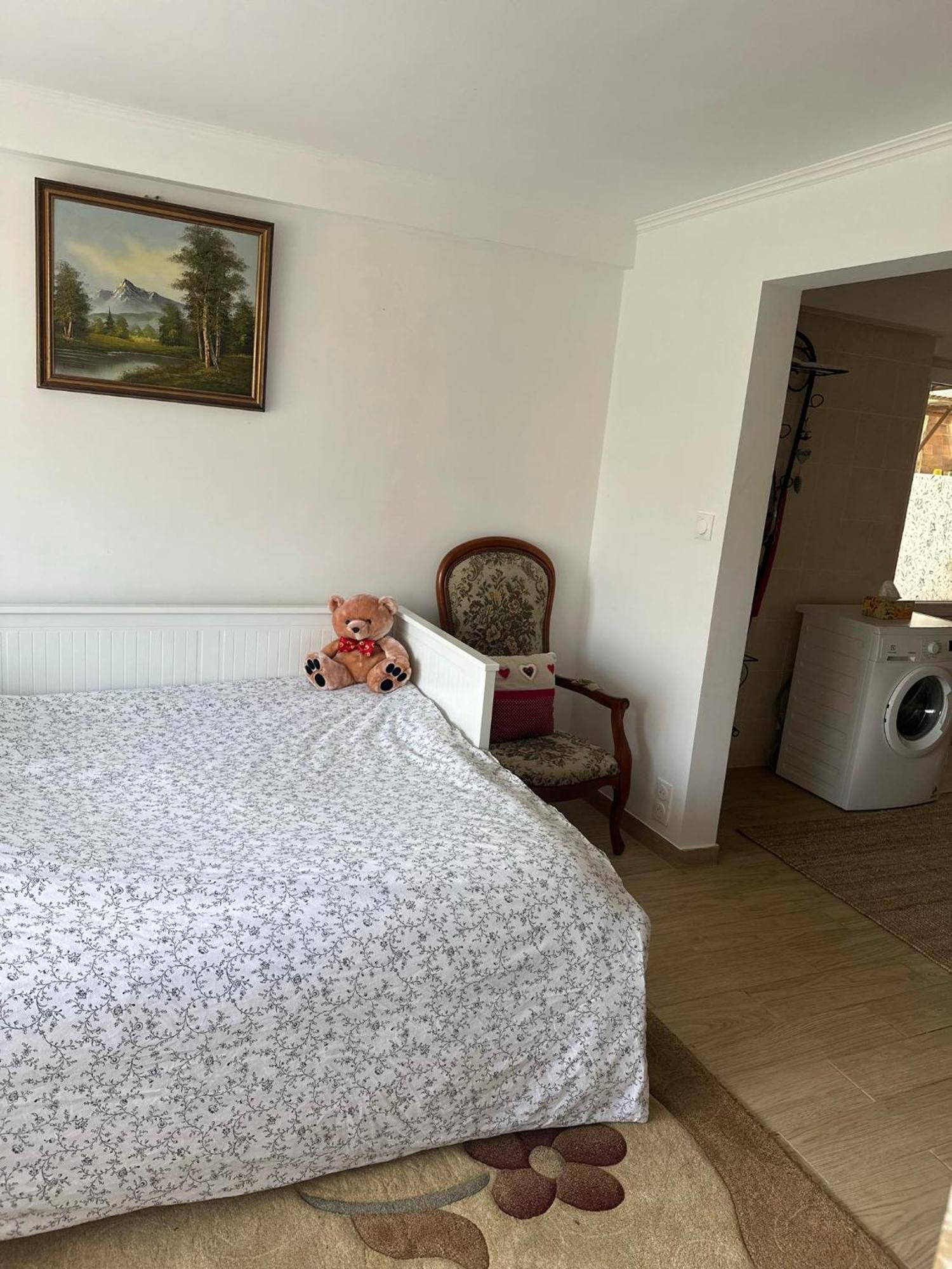 Appartement Centre Alsace - Proche D'europa Park